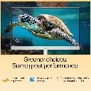81u1IJhphjL._SL1500_.webp